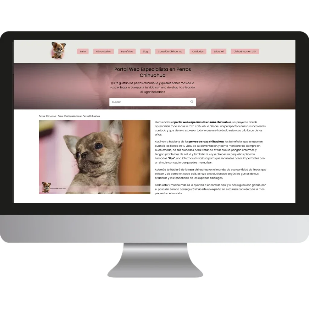 sitio web perros chihuahua